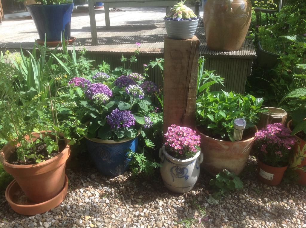 Au Fond Du Jardin Maison D'Hotes Saint-Saëns Buitenkant foto